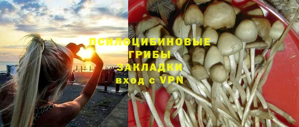 альфа пвп Нязепетровск
