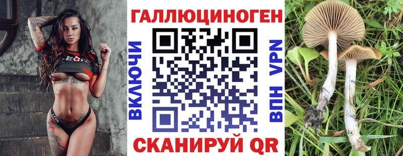 MEGA tor Киржач Псилоцибиновые грибы Magic Shrooms