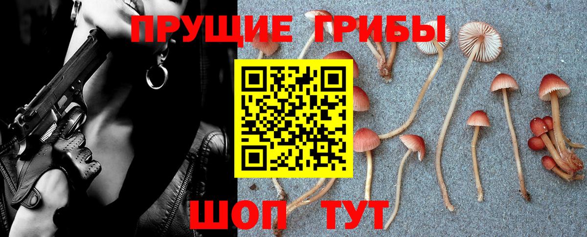 Псилоцибиновые грибы ЛСД Киржач