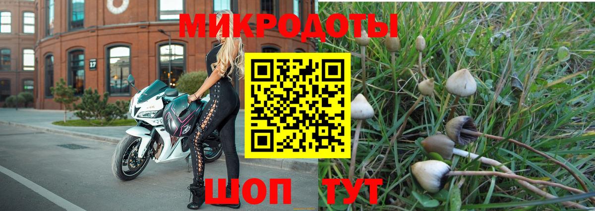 Псилоцибиновые грибы Magic Shrooms  Вход с VPN  купить наркотик  Киржач 